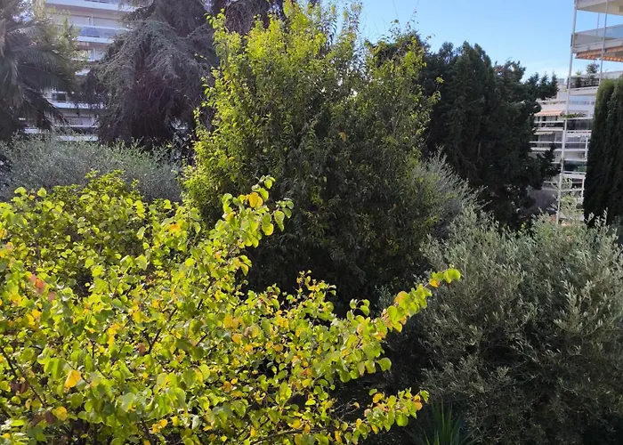 Seli 2 Pieces Classe 52 M2 Terrasse 20m2 Plages Piscine Juan Parking Apartman