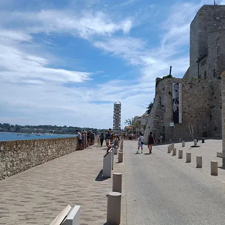 Oree Du Cap 2 Pieces Climatise Classe 52 M2 Terrasse 20M2 Plages Piscine Antibes Avec Parking Privatif Διαμέρισμα *